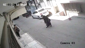 Caméra IP - Türkiye