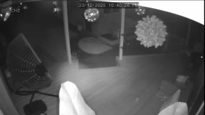 Caméra IP - Nouvelle-Zélande