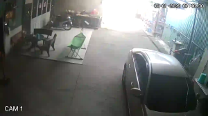 Caméra IP - Vietnam