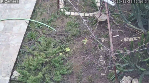 Caméra IP - Tunisie