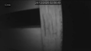 Caméra IP - Réunion