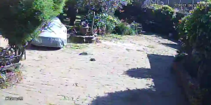 Caméra IP - Mexique