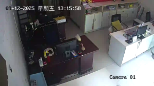 Caméra IP - Cina