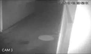 Caméra IP - Italien