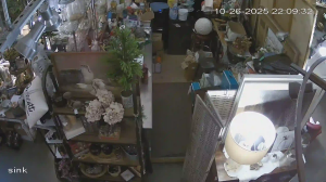 Caméra IP - Estados Unidos