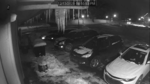 Caméra IP - Vereinigte Staaten von Amerika