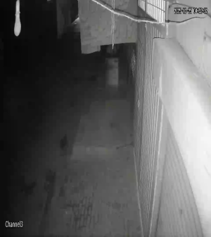 Caméra IP - Pakistan