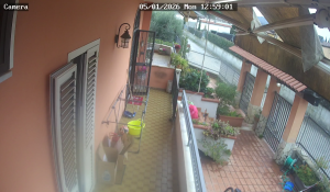 Caméra IP - Italien