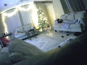 Caméra IP - États-Unis d'Amérique