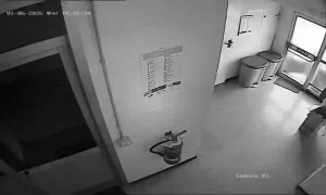 Caméra IP - États-Unis d'Amérique