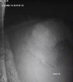 Caméra IP - Portugal