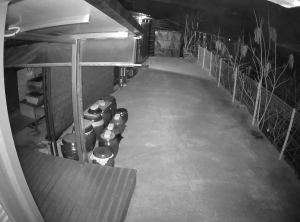 Caméra IP - South Korea