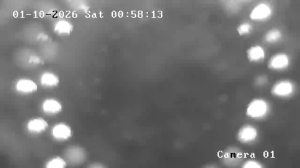 Caméra IP - Frankreich