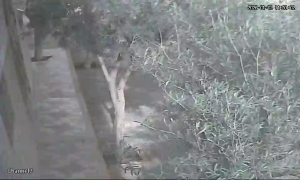 Caméra IP - Morocco