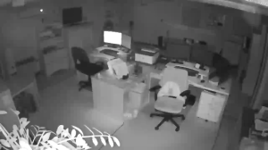 Caméra IP - Bermudes