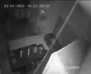 Caméra IP - Tunisie