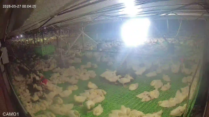 Caméra IP - Vietnam