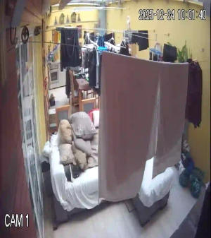 Caméra IP - Portugal