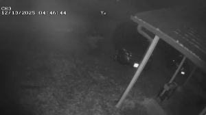 Caméra IP - Vereinigte Staaten von Amerika