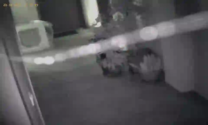 Caméra IP - Bulgaria