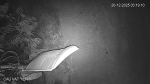 Caméra IP - Vietnam