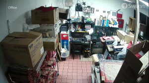 Caméra IP - Estados Unidos