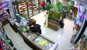 Caméra IP - Russische Föderation