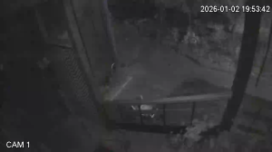 Caméra IP - Bulgaria