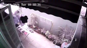 Caméra IP - Singapur