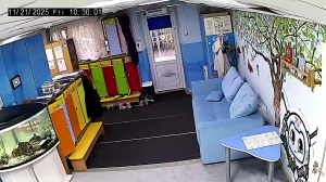 Caméra IP - Russian Federation