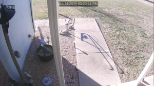 Caméra IP - Stati Uniti d'America