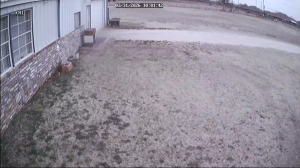 Caméra IP - United States of America