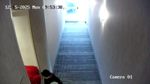 Caméra IP - Vereinigte Staaten von Amerika