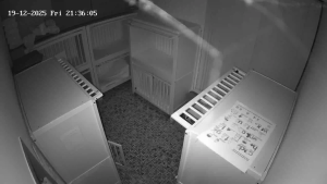 Caméra IP - Netherlands