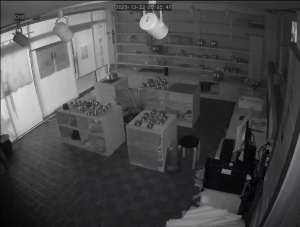 Caméra IP - Corée du Sud