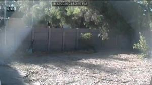 Caméra IP - Australien