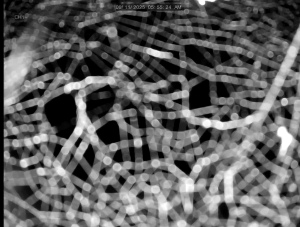 Caméra IP - Vereinigtes Königreich