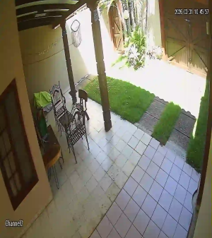 Caméra IP - Bolivia