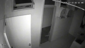 Caméra IP - Brasilien