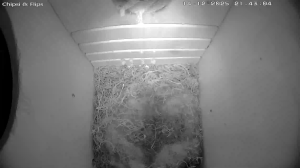 Caméra IP - Deutschland