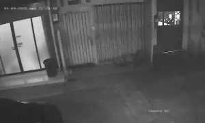 Caméra IP - Thaïlande