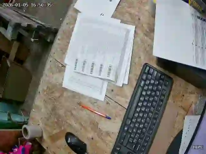 Caméra IP - Russische Föderation