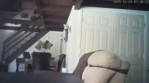 Caméra IP - États-Unis d'Amérique