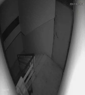 Caméra IP - Libanon