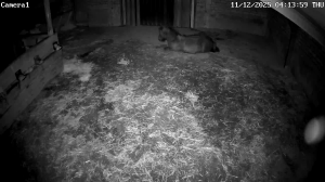 Caméra IP - Allemagne