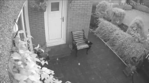 Caméra IP - Royaume-Uni