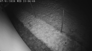 Caméra IP - Tschechische Republik