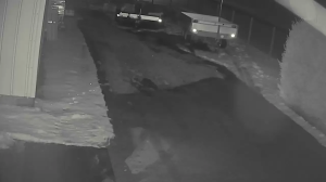 Caméra IP - Germany