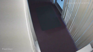 Caméra IP - United States of America