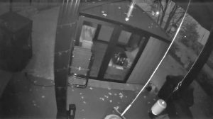 Caméra IP - Estados Unidos